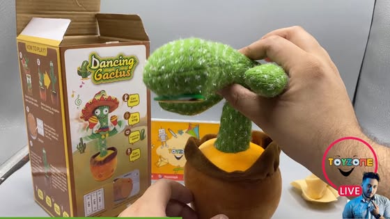 Dancing Talking Cactus Toy with USB Charge