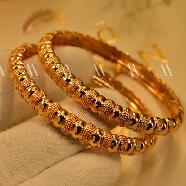 Elegant Design Gold Plated 2pc Bangle Set for Girls/Women